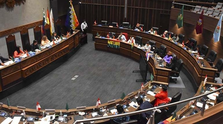 Asambleístas nacionales durante una sesión del pleno de la Cámara de Senadores. | APG