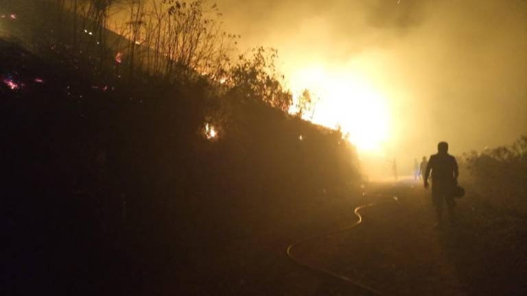 El fuego arrasa hectáreas en La Asunta de los Yungas de La Paz (26 de noviembre). Radio La Asunta